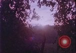 Image of Rape prevention United States USA, 1977, second 27 stock footage video 65675078426