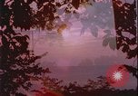 Image of Rape prevention United States USA, 1977, second 32 stock footage video 65675078426