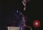Image of Rape prevention United States USA, 1977, second 61 stock footage video 65675078426
