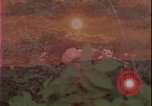 Image of elderly woman driving United States USA, 1977, second 1 stock footage video 65675078430