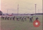 Image of Jeep United States USA, 1977, second 19 stock footage video 65675078434