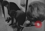 Standbild Ein Teenager-Paar Kanada, 1968, aus Sekunde 54 historischem Filmmaterial Videoclip 65675078447