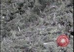 Image of Battle of Okinawa Okinawa Ryukyu Islands, 1945, second 5 stock footage video 65675078452