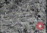 Image of Battle of Okinawa Okinawa Ryukyu Islands, 1945, second 6 stock footage video 65675078452