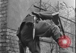 Image of US soldiers Halle Germany, 1945, second 51 stock footage video 65675078459