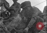 Image of US tanks Germany, 1945, second 50 stock footage video 65675078462