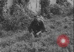 Image of Polish army Poland, 1947, second 30 stock footage video 65675078471