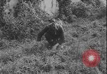 Image of Polish army Poland, 1947, second 31 stock footage video 65675078471
