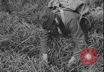 Image of Polish army Poland, 1947, second 35 stock footage video 65675078471