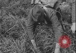 Image of Polish army Poland, 1947, second 36 stock footage video 65675078471