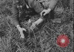 Image of Polish army Poland, 1947, second 37 stock footage video 65675078471