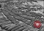 Image of Polish army Poland, 1947, second 50 stock footage video 65675078471