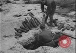 Image of Polish army Poland, 1947, second 52 stock footage video 65675078471