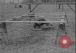 Image of Czechoslovakian woman soldiers Prague Czechoslovakia, 1948, second 43 stock footage video 65675078474