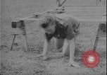 Image of Czechoslovakian woman soldiers Prague Czechoslovakia, 1948, second 47 stock footage video 65675078474