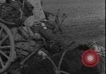 Image of United States Army Worms Germany, 1945, second 50 stock footage video 65675078483