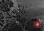 Image of United States Army Worms Germany, 1945, second 51 stock footage video 65675078483