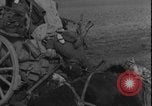 Image of United States Army Worms Germany, 1945, second 52 stock footage video 65675078483