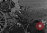 Image of United States Army Worms Germany, 1945, second 54 stock footage video 65675078483