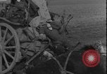 Image of United States Army Worms Germany, 1945, second 57 stock footage video 65675078483