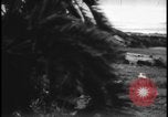 Image of Sugar Loaf Hill Okinawa Ryukyu Islands, 1945, second 10 stock footage video 65675078487