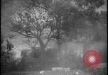 Image feu de village Îles Ryukyu d'Okinawa, 1945, de la seconde 29 séquences d'archives historiques vidéo 65675078489
