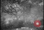 Image feu de village Îles Ryukyu d'Okinawa, 1945, de la seconde 30 séquences d'archives historiques vidéo 65675078489