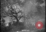 Image feu de village Îles Ryukyu d'Okinawa, 1945, de la seconde 32 séquences d'archives historiques vidéo 65675078489