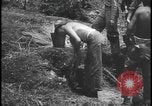 Image feu de village Îles Ryukyu d'Okinawa, 1945, de la seconde 34 séquences d'archives historiques vidéo 65675078489