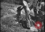 Image feu de village Îles Ryukyu d'Okinawa, 1945, de la seconde 35 séquences d'archives historiques vidéo 65675078489