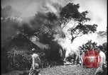 Image feu de village Îles Ryukyu d'Okinawa, 1945, de la seconde 50 séquences d'archives historiques vidéo 65675078489