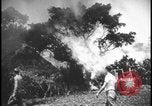 Image feu de village Îles Ryukyu d'Okinawa, 1945, de la seconde 51 séquences d'archives historiques vidéo 65675078489