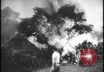 Image feu de village Îles Ryukyu d'Okinawa, 1945, de la seconde 52 séquences d'archives historiques vidéo 65675078489