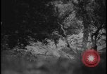 Image of Marines Okinawa Ryukyu Islands, 1945, second 18 stock footage video 65675078490