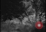 Image of Marines Okinawa Ryukyu Islands, 1945, second 19 stock footage video 65675078490