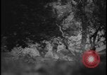 Image of Marines Okinawa Ryukyu Islands, 1945, second 20 stock footage video 65675078490
