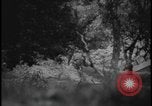 Image of Marines Okinawa Ryukyu Islands, 1945, second 21 stock footage video 65675078490