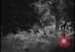 Image of Marines Okinawa Ryukyu Islands, 1945, second 22 stock footage video 65675078490