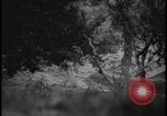 Image of Marines Okinawa Ryukyu Islands, 1945, second 23 stock footage video 65675078490