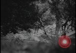 Image of Marines Okinawa Ryukyu Islands, 1945, second 24 stock footage video 65675078490