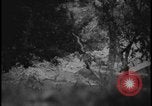 Image of Marines Okinawa Ryukyu Islands, 1945, second 25 stock footage video 65675078490