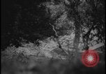 Image of Marines Okinawa Ryukyu Islands, 1945, second 26 stock footage video 65675078490