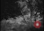 Image of Marines Okinawa Ryukyu Islands, 1945, second 27 stock footage video 65675078490