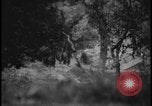 Image of Marines Okinawa Ryukyu Islands, 1945, second 28 stock footage video 65675078490