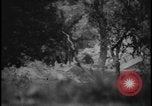 Image of Marines Okinawa Ryukyu Islands, 1945, second 29 stock footage video 65675078490