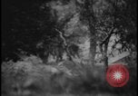 Image of Marines Okinawa Ryukyu Islands, 1945, second 30 stock footage video 65675078490
