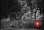 Image of Marines Okinawa Ryukyu Islands, 1945, second 33 stock footage video 65675078490