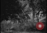 Image of Marines Okinawa Ryukyu Islands, 1945, second 34 stock footage video 65675078490