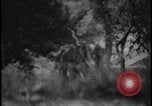 Image of Marines Okinawa Ryukyu Islands, 1945, second 35 stock footage video 65675078490