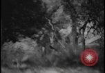 Image of Marines Okinawa Ryukyu Islands, 1945, second 36 stock footage video 65675078490